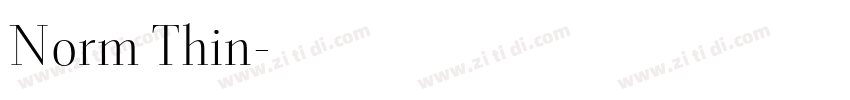 Norm Thin字体转换